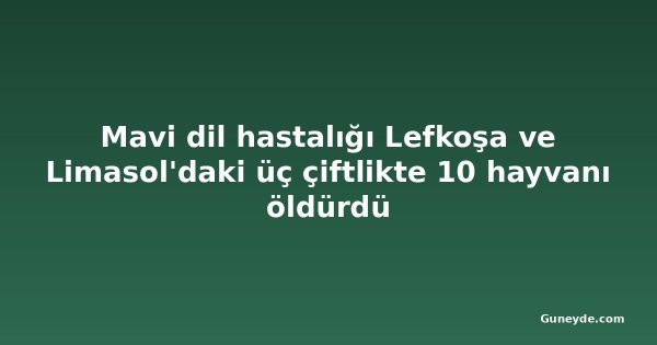 Mavi dil hastalığı Lefkoşa ve Limasol'daki üç çiftlikte 10 hayvanı öldürdü