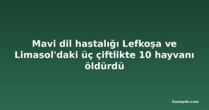 Mavi dil hastalığı Lefkoşa ve Limasol'daki üç çiftlikte 10 hayvanı öldürdü