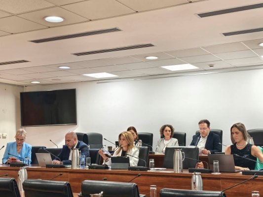 Kıbrıs'ta İnsan Hakları Komisyonu, Άμεση Δημοκρατία milletvekillerinin 'kimse anlamadı' videosunu kınadı
