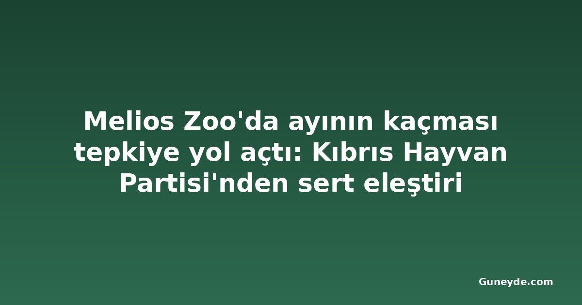 Melios Zoo'da ayının kaçması tepkiye yol açtı: Kıbrıs Hayvan Partisi'nden sert eleştiri