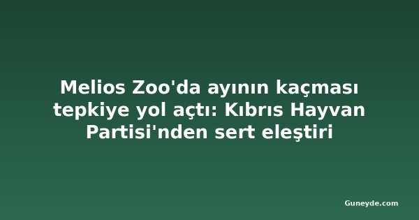 Melios Zoo'da ayının kaçması tepkiye yol açtı: Kıbrıs Hayvan Partisi'nden sert eleştiri
