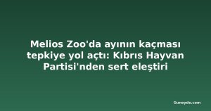 Melios Zoo'da ayının kaçması tepkiye yol açtı: Kıbrıs Hayvan Partisi'nden sert eleştiri